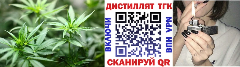 закладки  Межгорье  ТГК концентрат 