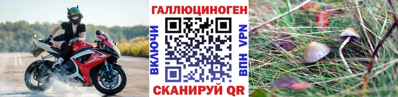 купить  цена  Межгорье  Псилоцибиновые грибы Psilocybine cubensis 